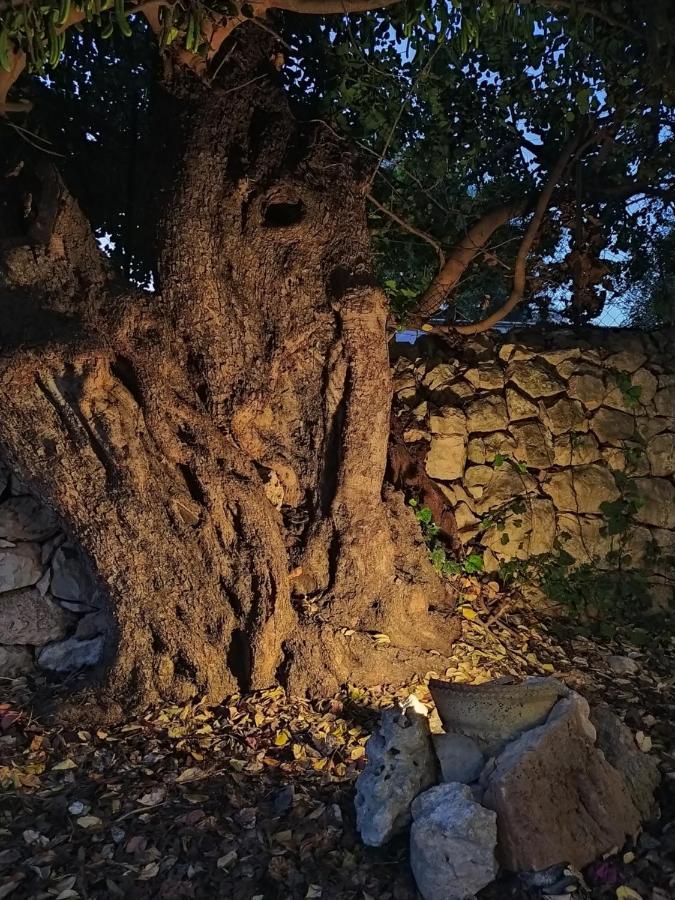 Villa Casotto Il Carrubo, A 100 Mt Dal Mare! à Avola Extérieur photo